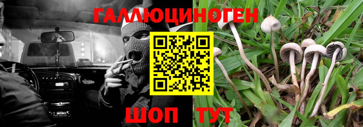 Галлюциногенные грибы MAGIC MUSHROOMS Свободный