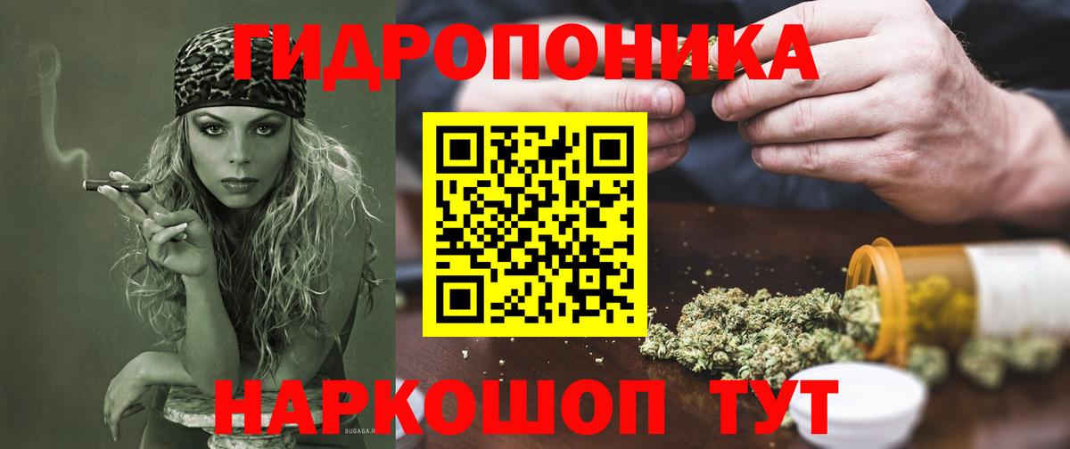 Бошки марихуана Amnesia  Конопля LSD WEED  Вход с VPN  Конопля конопля  Свободный  Канабис Ganja 